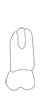 Diagram of Tooth 1
