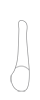 Diagram of Tooth 5