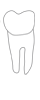 Diagram of Tooth 31